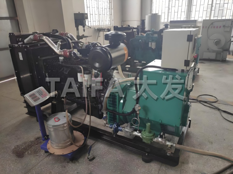 双燃料发电机组