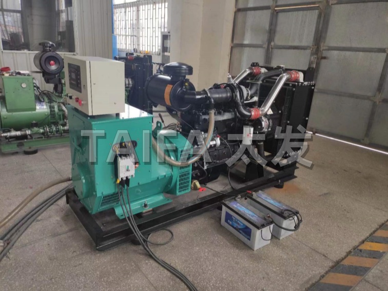 双燃料发电机组