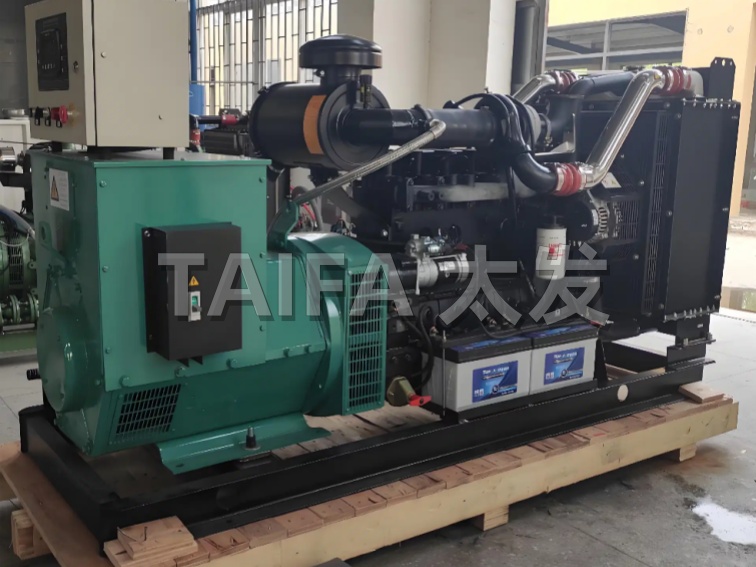 双燃料发电机组