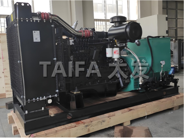 Dual fuel generator set