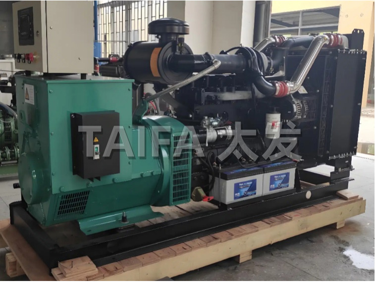 Dual fuel generator set