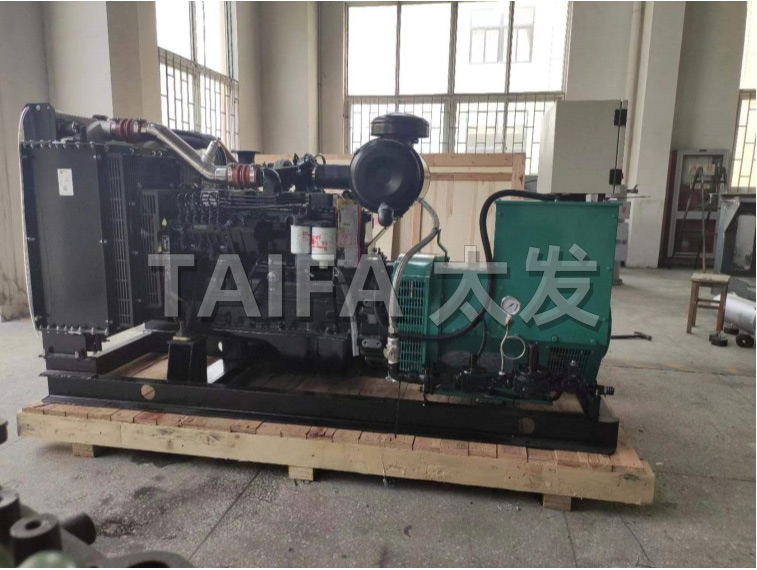 Dual fuel generator set