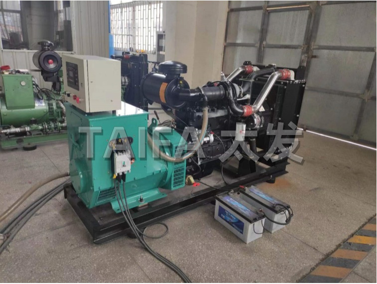 Dual fuel generator set